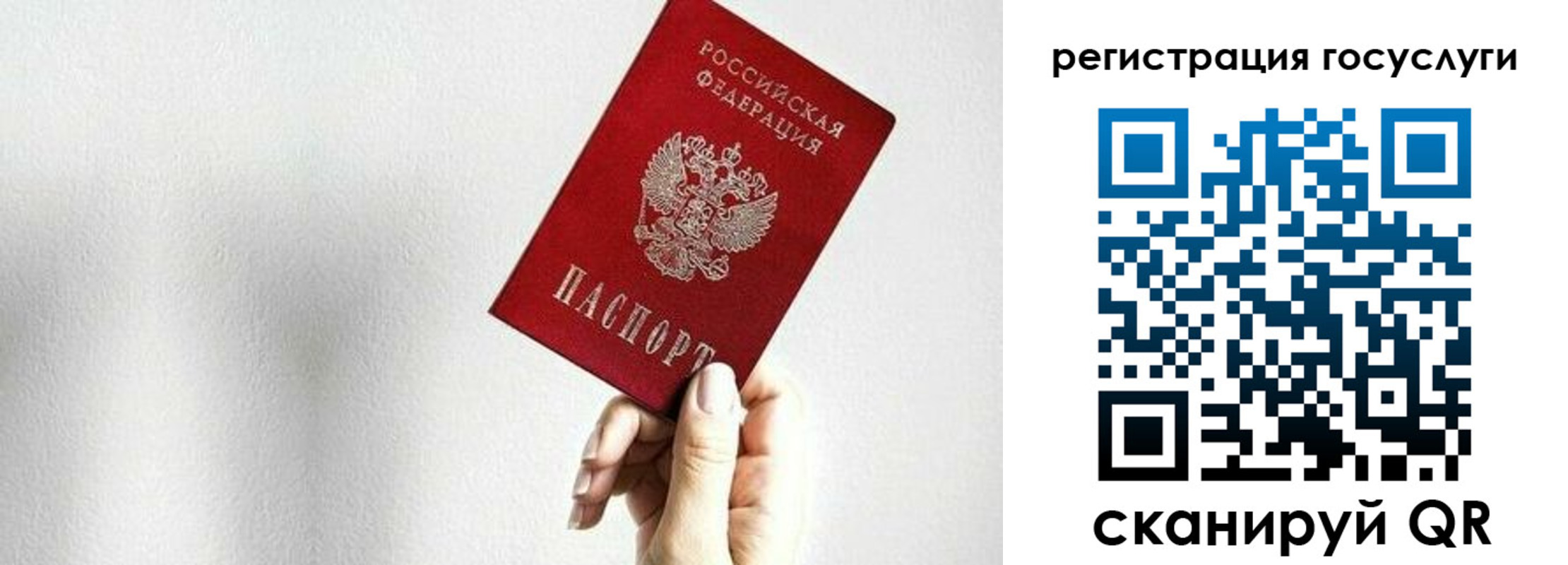 прописка гарантия в Балее